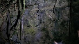 Bu adada ilanlar mağara tavanlarından asılır: Onlar kimi gözləyir?