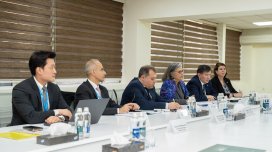 Yaşıllıqların qanunsuz kəsildiyi ortaya çıxdı