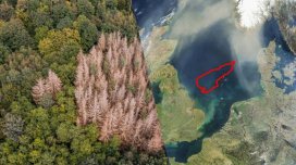 Alimlər Şimal dənizinin dibində "itmiş dünya" tapdı