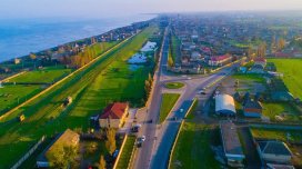 Lənkəranda köçəri quşlar kütləvi tələf oldu - FOTO