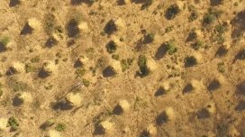 Britaniya böyüklüyündə, kosmosdan görünən nəhəng "şəhər": Onu kim yaradıb?