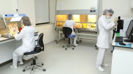 Bakıda sakinlər ən çox nədən zəhərlənir?