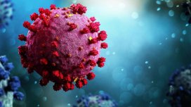 Koronavirus bitmir: Daha bir ştammı ölkələrə yayıldı