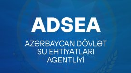 Agentliyə məxsus avtomobil hərrac çıxarılır