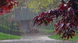 Sabah bəzi yerlərdə yağış yağacaq