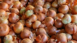 Soğan su qiymətinə satılır