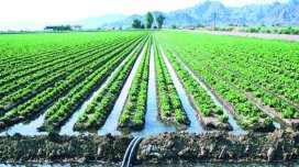 Aqrar sektorda "yağış sınağı"