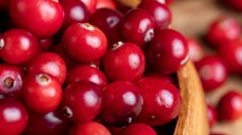 Zoğal diş çürüməsi və diş əti iltihabı riskini azaldır.