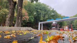 Göy-Göl Milli Parkının 128 min manatlıq tenderi ləğv edildi