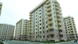 Boş qalan mənzillərə qənim kəsilən OĞRULAR - VİDEO