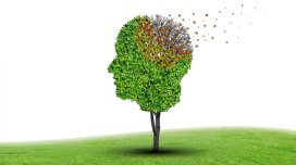 10 min nəfərlik araşdırma tənhalıq və demensiya arasındakı incə xətti ortaya çıxardı