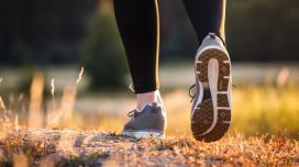 Həkimlər gündəlik gəzintidən imtinanın nə ilə təhlükəli olduğunu izah etdi