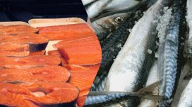 Qızılbalıq, yoxsa skumbriya: Fərq nədir və hansı balıq daha faydalıdır?