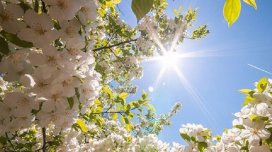 Sabah 22 dərəcə isti olacaq