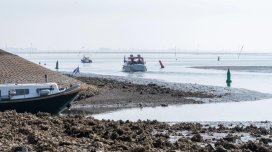 ABŞ-da bu problemin həllnini tapanlara 200 dollar mükafat təklif olunur