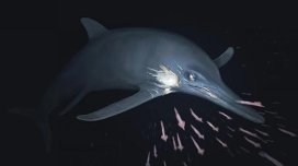 Alimlər 150 milyon il əvvəl yaşamış 6 metrlik yırtıcının qalıqlarını tapdı