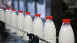 Süd bazarında yeni reallıq: Həm idxal, həm də xərc artıb