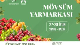 &ldquo;Kənddən Şəhərə&rdquo; yarmarkasında iştirak üçün qeydiyyat başladı