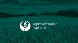 Agentlik təhlükəli tullantıların daşınmasına nə qədər xərcləyəcək?