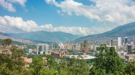 Bu şəhərdə 880 min ağac əkildi və havanın temperaturu bir neçə dərəcə aşağı düşdü