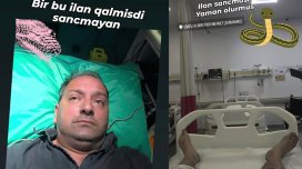 Elnur Kərimovu ilan sancdı