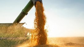 Latviya Rusiya və Belarus taxılına 300 faizlik tarif tətbiq etməyi planlaşdırır