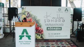 Ağdaşda &ldquo;Kənddən Şəhərə&rdquo; yarmarkası təşkil olunub