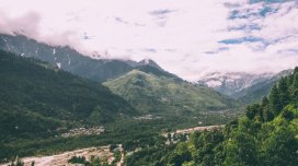 Polşalı turist Himalay dağlarında qramı qızıldan baha olan göbələk tapdı