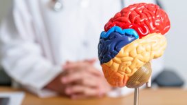 Uşaqlarda depressiya riskini göstərən mümkün beyin əlaməti aşkarlandı