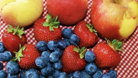 Meyvələr necə saxlanılmalıdır?