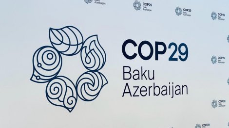 Slovakiya Azərbaycanın COP29 ilə əlaqədar tədbirlərini dəstəkləməyə hazırdır