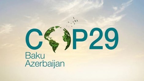 "COP29 Azərbaycan iqtisadiyyatına çox müsbət təsir göstərdi" - Ekspert