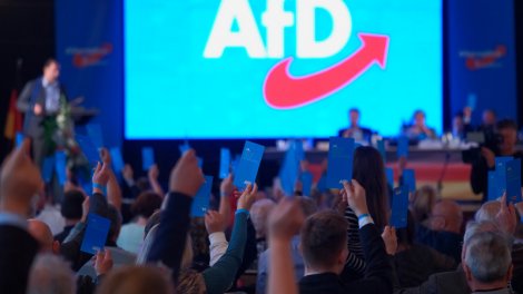 AfD Almaniyanı Avropa İttifaqından çıxmağa çağıracaq