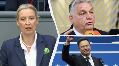 Mask və Orban Almaniyada mühafizəkarların qələbəsinə baxmayaraq AfD-ni təbrik etdi