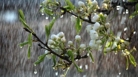 Ölkədə yağıntılı hava şəraiti davam edir, Ağsuya dolu düşdü - FAKTİKİ HAVA