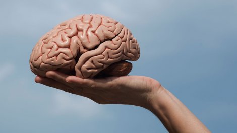 Epilepsiya müalicəsinin açarı tapıldı