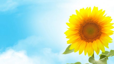 İyunda bəzi yerlərdə havanın orta aylıq temperaturu yüksək olacaq