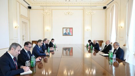 Prezident Türkiyənin energetika və təbii sərvətlər nazirini qəbul etdi