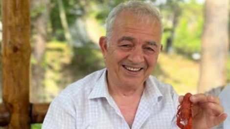 Yazıçılar Birliyinin üzvü ağacdan yıxıldı - 10-dan çox sümüyü sındı
