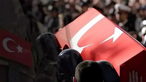 Türkiyə Ordusunun 2 əsgəri qızdırmadan öldü
