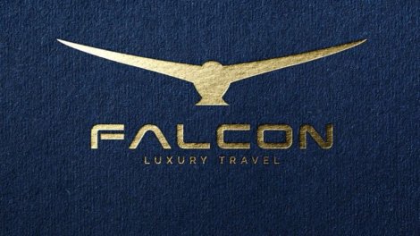 “Falcon Luxury Travel” MMC-nin külli miqdarda vergi borcu var