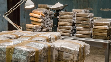 Yeni Zelandiya polisi 8,2 milyon dollarlıq narkotik maddə müsadirə etdi