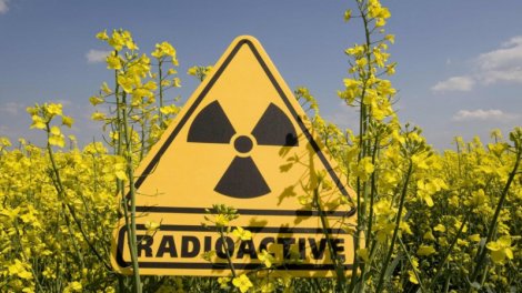 Azərbaycan ərazisində radioloji vəziyyət necədir?