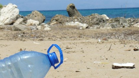 Alimlər bakteriyalara plastiki parçalamağı öyrətdi və karbon uducu material ixtira etdi
