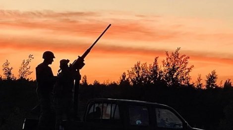 Ağır artilleriya xilas etməyəcək: Avropa Rusiya PUA-larını nə ilə vurmalıdır?