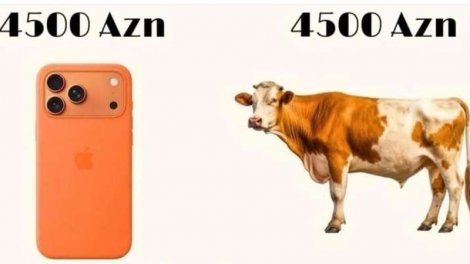 4500 manata "iPhone", yoxsa inək?
