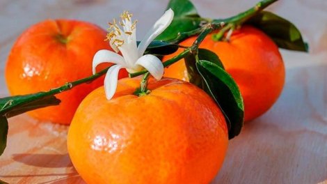 Gün ərzində maksimum necə naringi yemək olar?