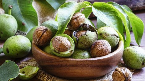 Sağlamlıq üçün faydalı yaş qoz