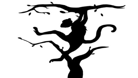 Beyninizin hansı yarımkürəsi dominantdır? - Özünüzü sınayın