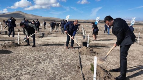 FHN Zəfər Gününə həsr olunmuş ağacəkmə aksiyası keçirdi - FOTO